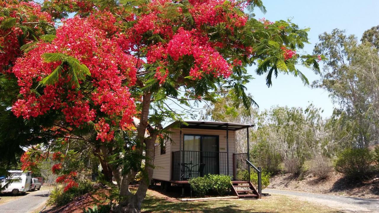 Mt Larcom Tourist Park Hotel Mount Larcom Exterior photo